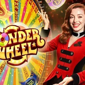 wonder wheel